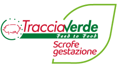 Per scrofe gestazione