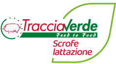 Per scrofe lattazione